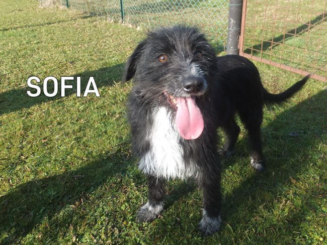 01 febbraio 2024 0084