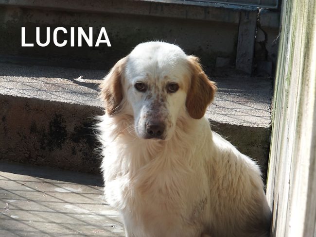 17 febbraio 2024 0307