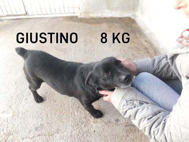 06 marzo 2024 2024 0107