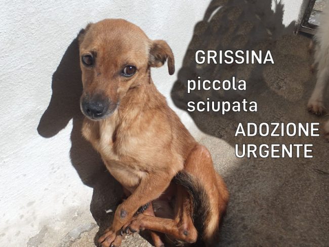 06 marzo 2024 2024 0137
