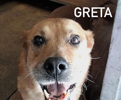 Greta