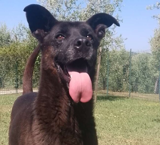 rufus nuova 4