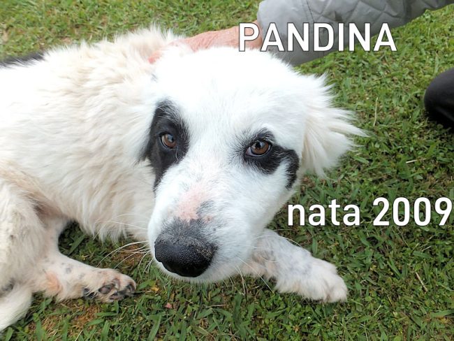 23 aprile 22024 0163