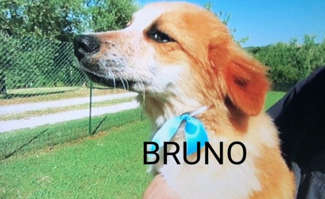 Immagine WhatsApp 2024-07-18 ore 18.00.46_0d2efbc4