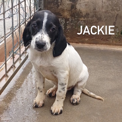 Jackie