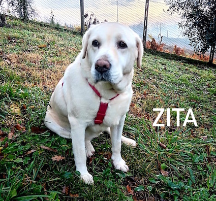 Zita