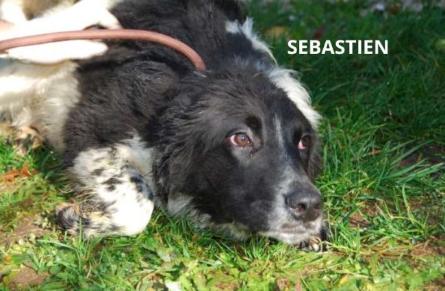 SEBASTIEN NOME