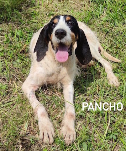 nome Pancho