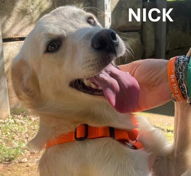 NICKNOME