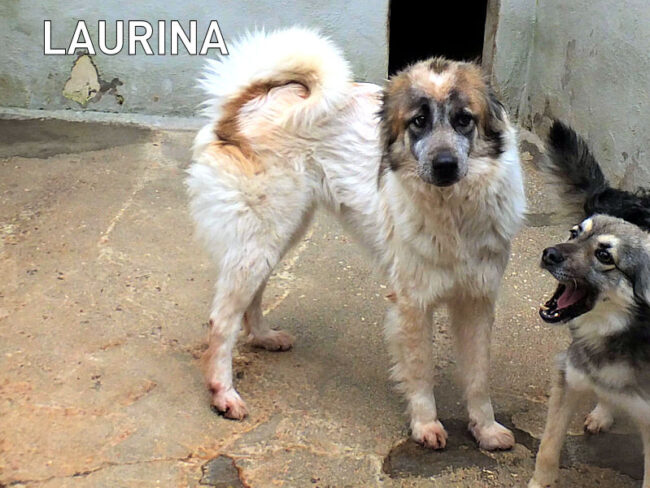 13-gennaio-2026-0509